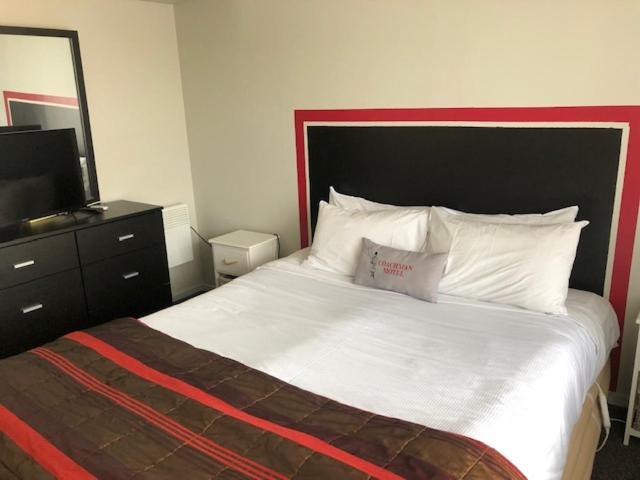 科奇曼汽车旅馆 基督城 外观 照片